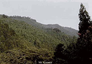 Mount Kurama - 31.23 KB